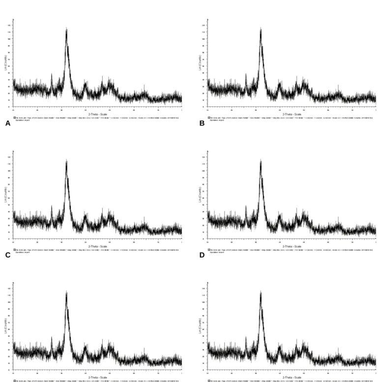Fig. 2. XRD patterns of a variety of bone graft materials.