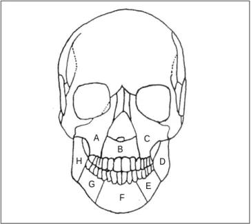 Fig. 2. Anatomical location.