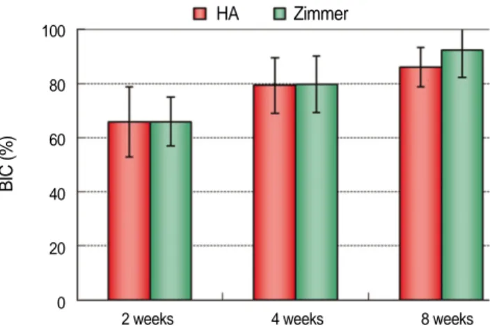 Fig. 8. Histological finding of Zimmer HA after 4 weeks was similar with that of TS III HA.