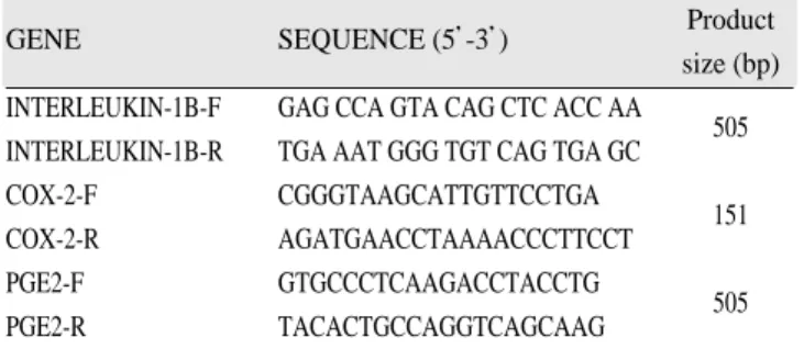 Fig. 5는 interleukin- 1β발현양에 대한 DNA  사진으로서 GAPDH는 house keeping 유전자로서 실험조건을 설정하기 위하여 유전자 발현을 확인하였다