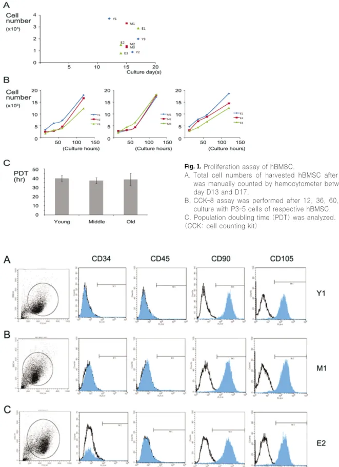 Fig. 2. Surface marker expression of hBMSC between young and old aged group.