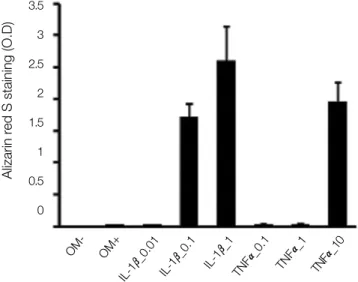 Fig. 4. Quantification  of  alizarin  red  S  in  periosteal-derived cells treated with 0.1, 1, and 10 ng/mL TNF- α or 0.01, 0.1, and 1 ng/mL IL-1 β.