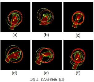 그림 4. DAM-Shift 결과 Fig. 4. The result of DAM-Shift