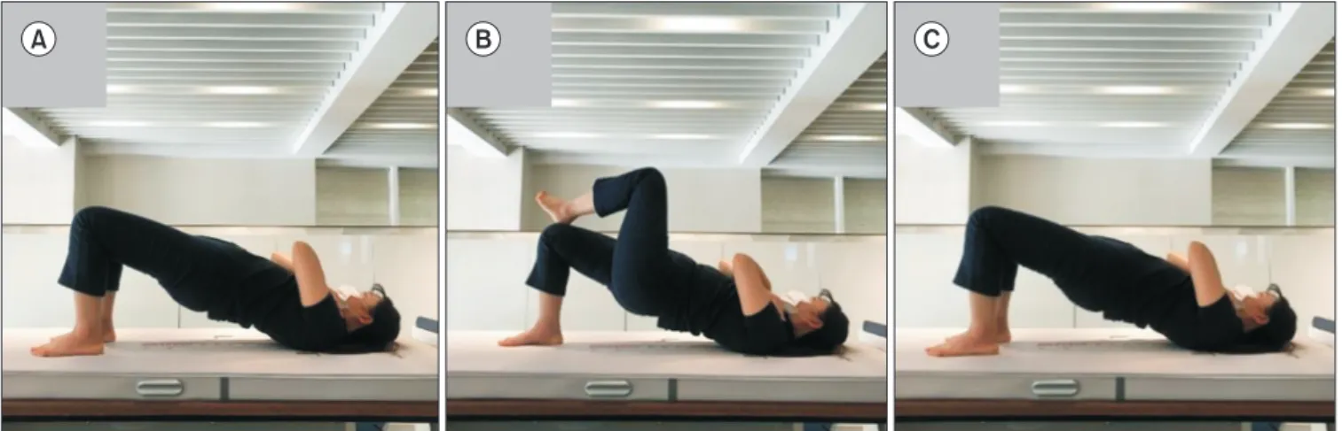Table 3 shows the Pearson’s correlation coefficients between  the CKCLE test and the hip extensor, the external rotator, and  the abductor muscle strengths