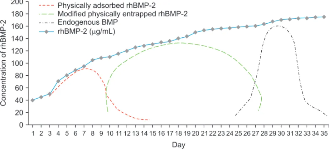 Fig. 3. An illustrative diagram of the postulated release kinetics of recombinant human bone morphogenetic protein-2 (rhBMP-2) from de- de-mineralized dentin matrix (DDM)