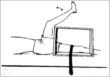 Figure 1. Active knee extension test.