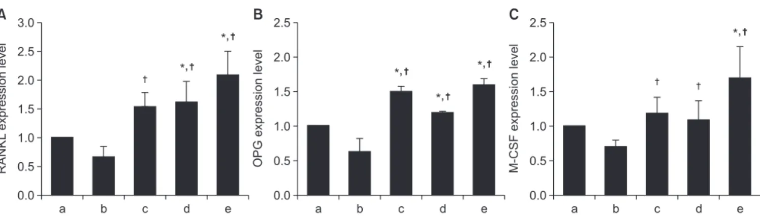 Fig. 8. Effects of alendronate, recombinant human bone morpho- morpho-genetic protein-2 (rhBMP-2), and low-level laser therapy (LLLT) on  expression of osteopontin