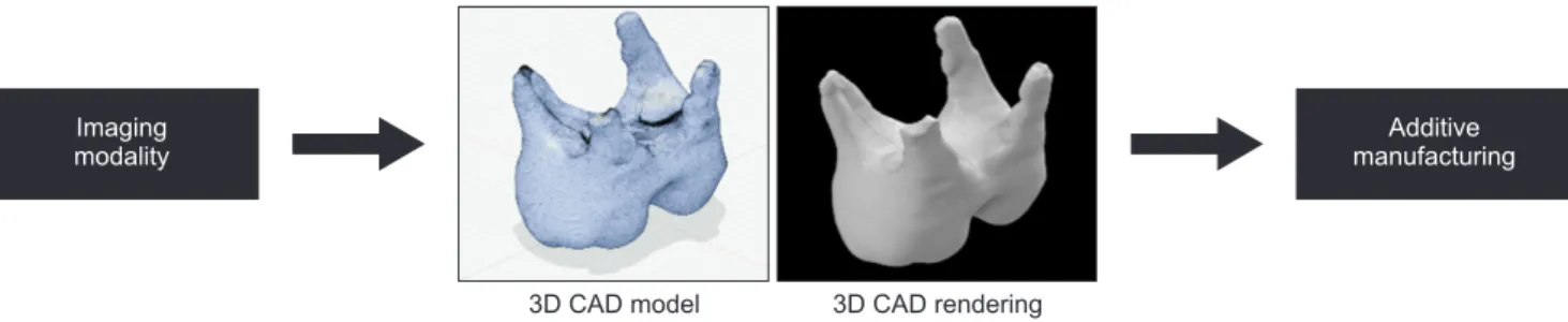 Fig. 1. The advent of additive manufacturing allows for the use of medical and research based imaging modalities to create three-dimen- three-dimen-sional (3D) computer aided design (CAD) models