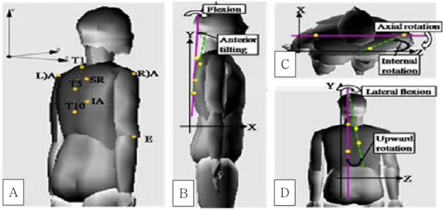 Figure  1.  Angle setting (a) location of the infra-red markers used for analysis of scapular orientation and trunk motion, (b) scapular orientation and trunk motion in the sagittal plane, (c) scapular orientation and trunk motion in the transverse plane, 
