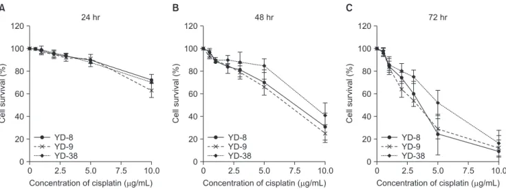 Fig. 1. Cell viability after cisplatin treatment. All cell lines showed a significant reduction in viability with time and dose
