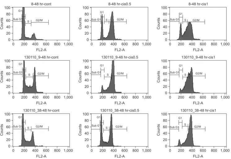 Fig. 2. Cisplatin induces G2/M arrest in the YD-8, YD-9, and YD-38 cell lines. The cells were incubated with 0.5 and 1.0 μg/mL cisplatin (cis)  for 48 hours, fixed and stained with propidium iodide, and analyzed for DNA content.
