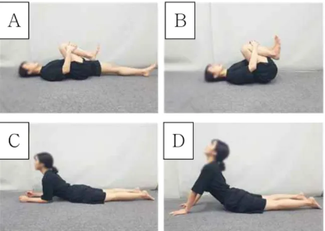 Figure  3.  Stretching exercise (A: one-leg Knee to chest. B: knee to chest. C: prone on elbow, D: prone on hand).께의 오차를 줄이기 위해 양쪽 모두 각각 3회씩 측정한후 평균값을 사용하였다.4
