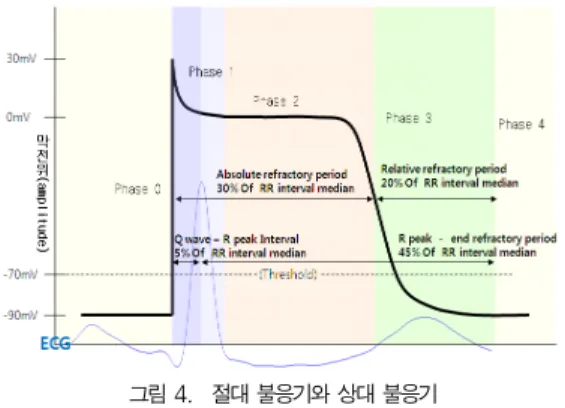 그림 4. 절대 불응기와 상대 불응기