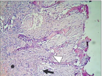 Fig. 5. Red blood cells, venules (arrowhead), and connective tis- tis-sue (asterisk) in the control group at the eighth week