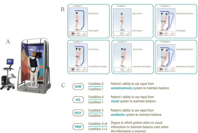 Figure  1.  A: CDP system, B: six-test conditions, C: equations to differentiate sensories (CDP: