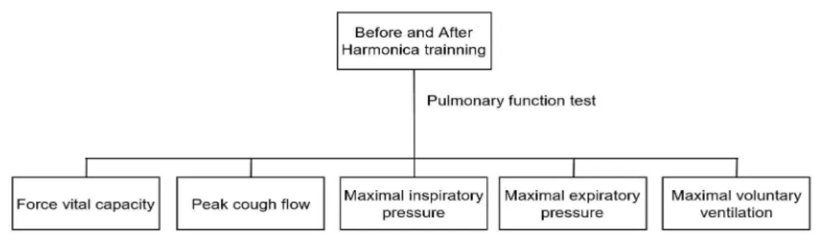 Figure  1.  Flow chart of Measurement procedure.