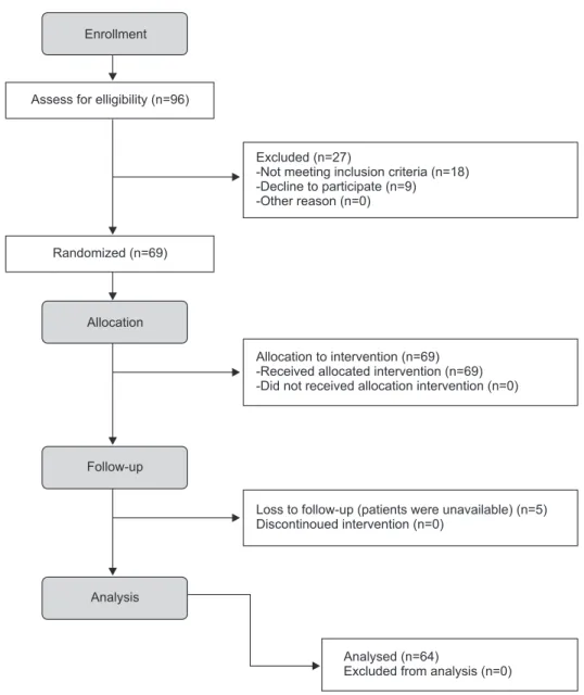 Fig. 1. Study flowchart.