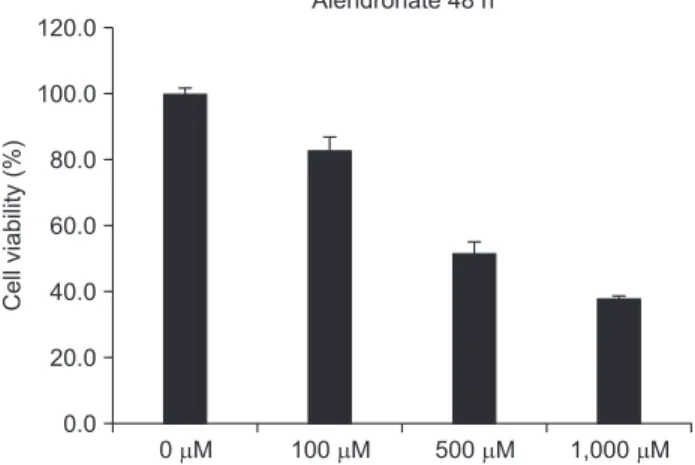 Table 2. Effects of alendronate and recombinant human bone  morphogenetic protein-2 (rhBMP-2) on cell viability