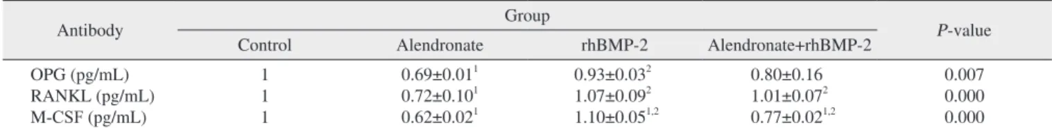 Table 3. Expression of OPG, RANKL and M-CSF in RT-PCR