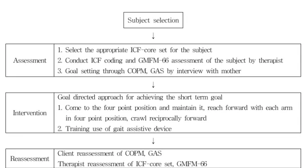 Figure  2.  Process of study (ICF: international classification of functioning, disability, and health, GMFM: gross motor function measure, COPM: Canadian occupational performance measure, GAS: