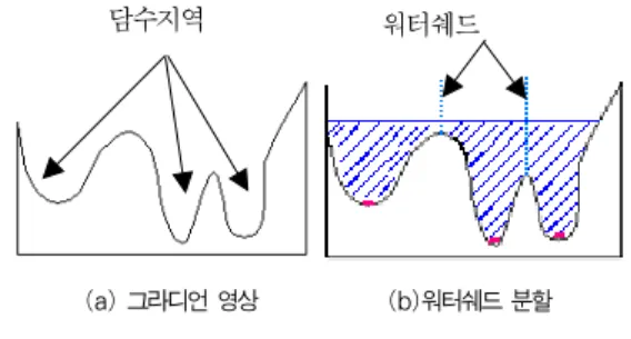 Fig. 1. Immersion based watershed segmentation