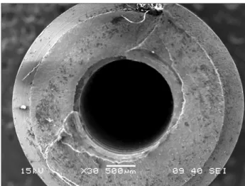 Fig. 2. It was possible to see that the titanium surface presented  many porosities.