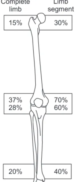 Figure 7. This showing an average total  length of the femur and tibia with a 1 and  2 standard deviation range in girls based  on chronologic age provided by Green and  Anderson.