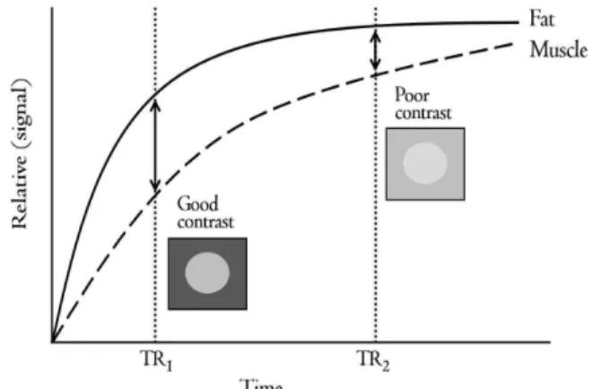 Figure  3.  The example of T 2 relaxation curves in two different tissues (TE 1 : first echo time, TE 2 : second echo time).