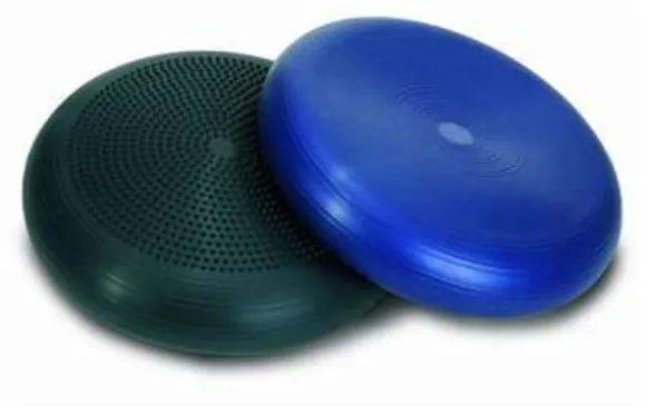Figure  1.  Dynairball Cushion Senso. Figure  2.  Experiment position.