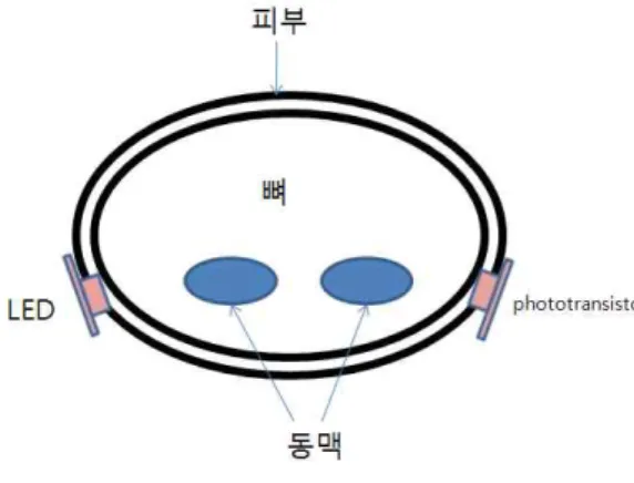 그림 5. 요골동맥 맥파 측정방법 Fig. 5. The measuring method of radial artery