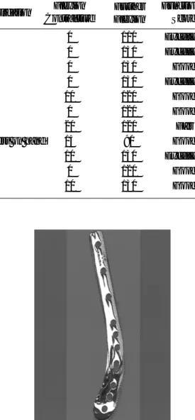 Fig. 1 : Photograph of modified lateral approach of humerus.