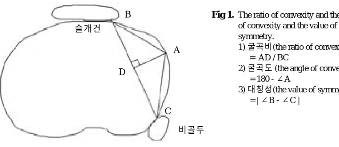 Fig 1.  The ratio of convexity and the angle of convexity and the value of symmetry.