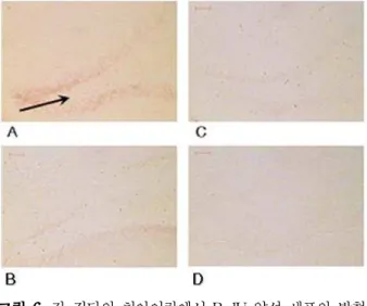 그림 6. 각 집단의 치아이랑에서 BrdU 양성 세포의 발현 A: MCAO-운동군(n 1 =5); B: MCAO-대조군(n 2 =5); C: SHAM-운동군(n 3 =5); D: SHAM-대조군(n 4 =5) 화살표: BrdU 양성 세포 발현, 척도막대: 5 ㎛