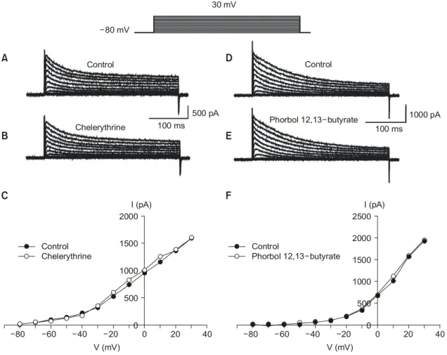 Fig.  4.  The  effects  of  protein  kinase  C  inhibitor  or  protein  kinase  C  activator  on  the  voltage-dependent  K +  currents