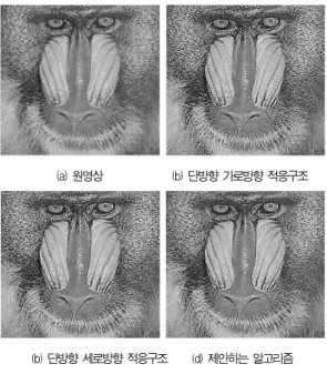 Fig. 8. Result of "BABOON" Image