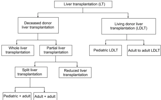 Fig.  2.  Various  techniques  of  liver  transplantation  according  to  door  and  type  of  graft.