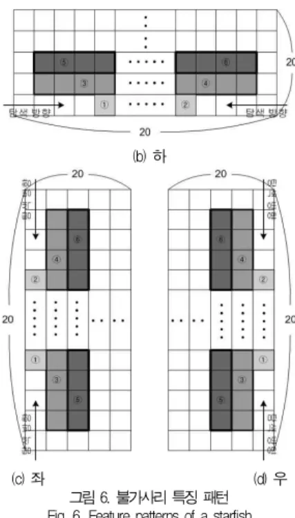 그림 6. 불가사리 특징 패턴 Fig. 6. Feature patterns of a starfish