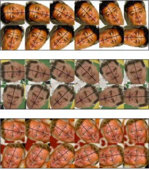 그림 6. 대칭축 검출의 몇 가지 사례 Fig. 6. Some examples of axis of symmetry detection