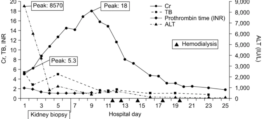 Fig.  3.  The  course  of  renal  and  liver  function  during  the  illness  of  the  patient  (case  1)