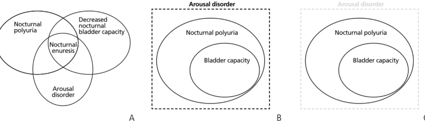 Figure 1.  Pathophysiology of nocturnal enuresis. (A) The Venn diagram using three causative factors of nocturnal enuresis