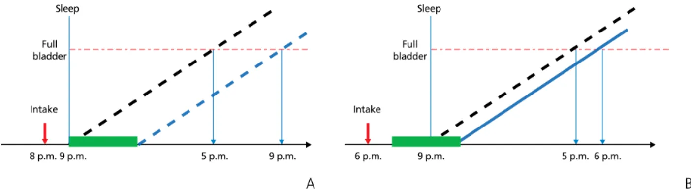 Figure 3.  Relationship between time of desmopressin administration and drug effect. Desmopressin reduces urine for 4 to 5 hours from 1 hour after taking the drug