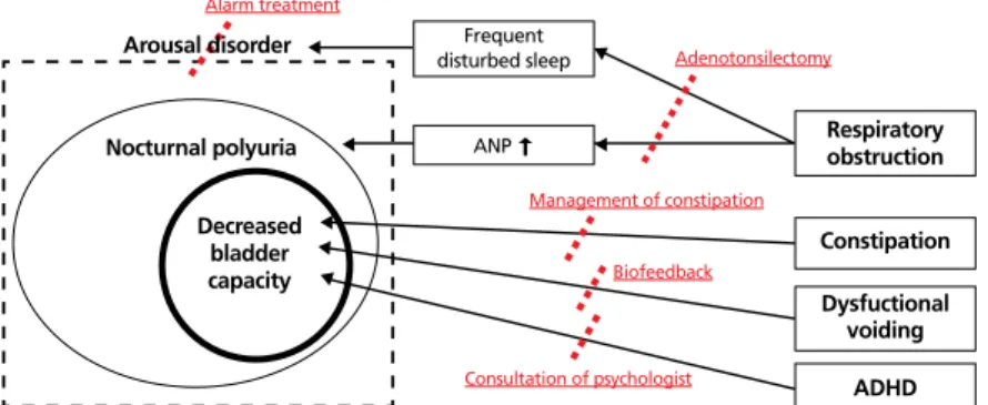 Figure 4.   Refractory from long-term success. ANP, atrial natriuretic peptide; ADHD, attention deficit  hyperactivity disorder