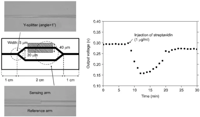 Fig. 7. Microfabricated Mach-Zehnder Interferometer Biosensor and assay result of straptavidin-biotin binding real time reaction.