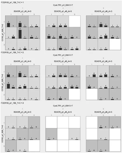 그림 2. MDR의 분석 결과 (SNP2, SNP4, SNP6, SNP9) Fig. 2. Analysis result of MDR (SNP2, SNP4, SNP6, SNP9)