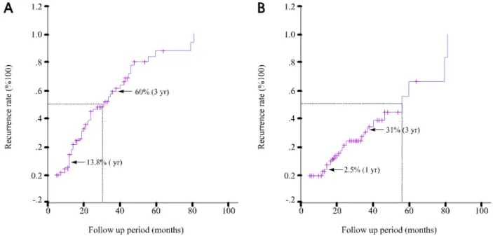 Fig. 1. Cumulative recurrence rate of the polyp after polypectomy. (A) Overall polyp recurrence