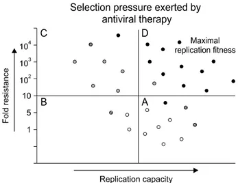 Fig.  1.  Viral  population  changes  from  A,  B,  C  to  D.  Wild  type  viruses  (blank  circle)  are  suppressed  after  initiation  of  antiviral  therapy  (A  to  B)