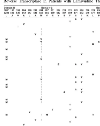 Table 3. The Pattern of Amino Acid Changes in HBV Reverse Transcriptase in Patients with Lamivudine Therapy