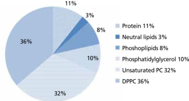 Figure 1.  Human natural surfactant composition. Most of the human natural  surfactant is composed of phosphatidylcholine