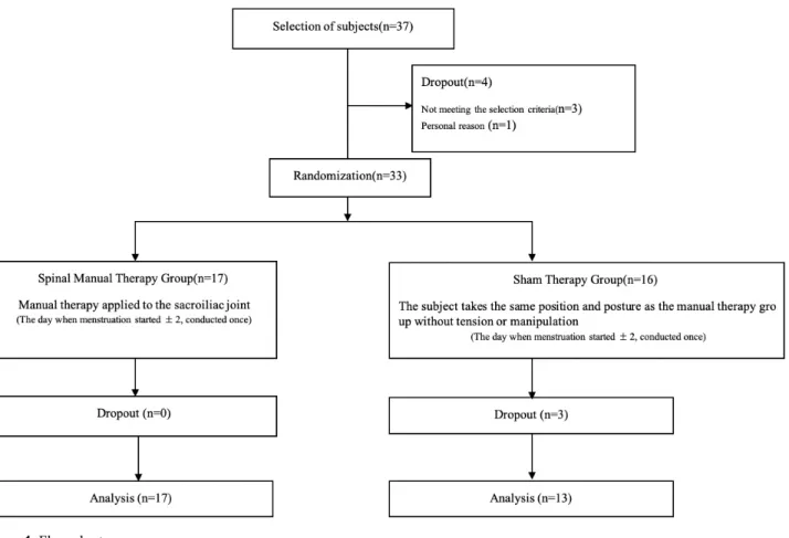 Figure 1. Flow chart.