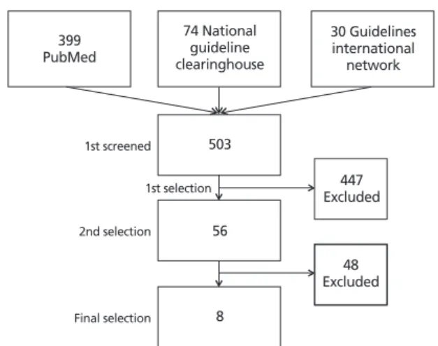 Figure 2.  Flow of guideline searching.